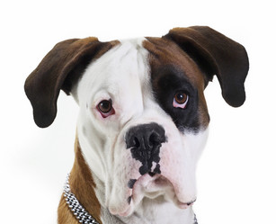 Similar image 1558750