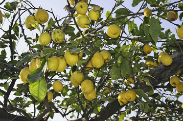 Similar image 1558776