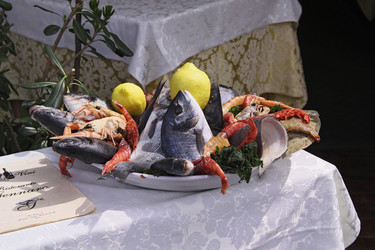 Similar image 1558775