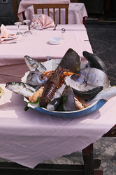 Similar image 1558777