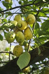 Similar image 1558782