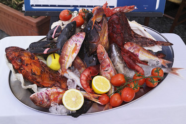 Similar image 1558781