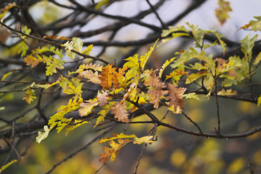 Similar image 1558801