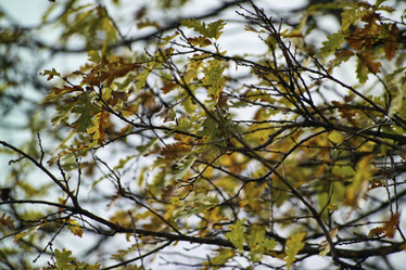 Similar image 1558802