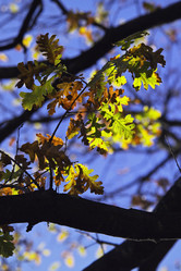 Similar image 1558805