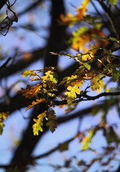 Similar image 1558808