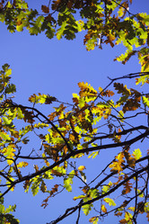 Similar image 1558813