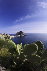 Similar image 1558827