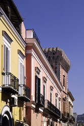 Similar image 1558834