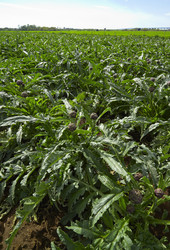 Similar image 1558841