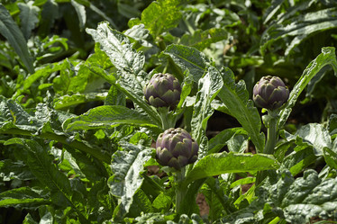 Similar image 1558843