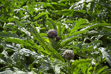 Similar image 1558855