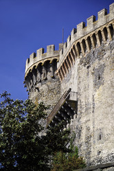 Similar image 1558871