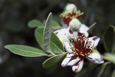 Similar image 1558875