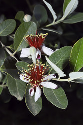 Similar image 1558876