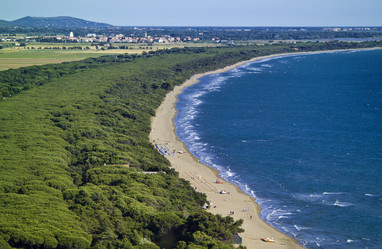 Similar image 1558962