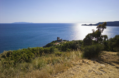 Similar image 1559006