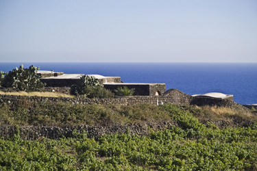 Similar image 1559085