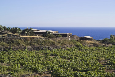 Similar image 1559086