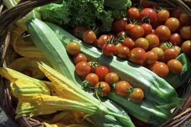 Similar image 1559142