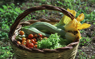 Similar image 1559143