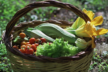 Similar image 1559144