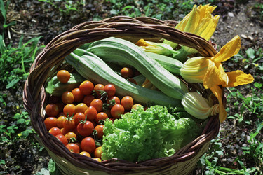 Similar image 1559155