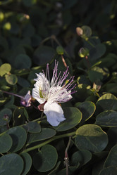 Similar image 1559196