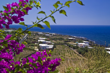 Similar image 1559209