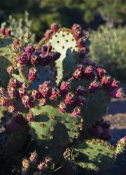 Similar image 1559216