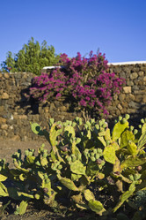 Similar image 1559218