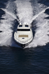 Similar image 1559269