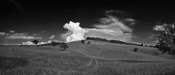 Similar image 1559318