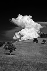 Similar image 1559320