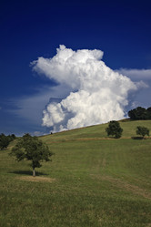 Similar image 1559321