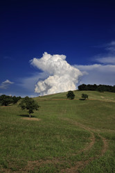 Similar image 1559323