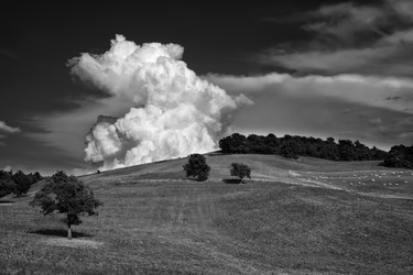 Similar image 1559325