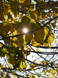 Similar image 1559338