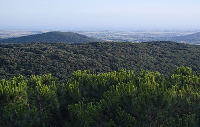 Similar image 1559362