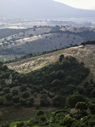 Similar image 1559370