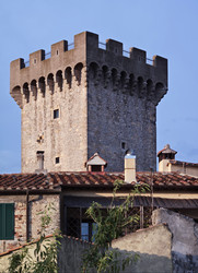 Similar image 1559376