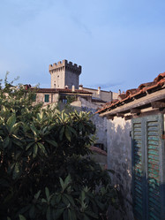 Similar image 1559387