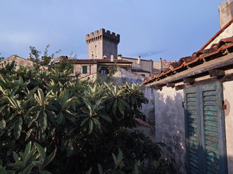 Similar image 1559388