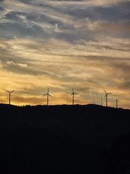 Similar image 1559404