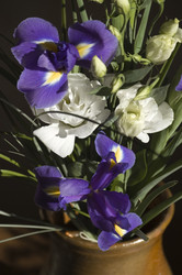 Similar image 1559419