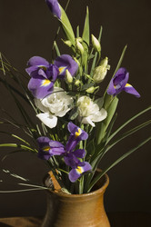 Similar image 1559420