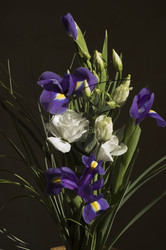 Similar image 1559421