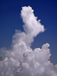 Similar image 1559425