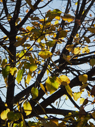 Similar image 1559499