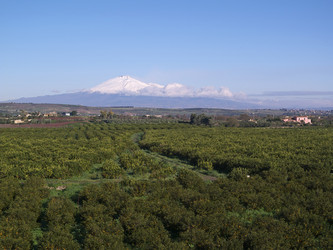 Similar image 1559503